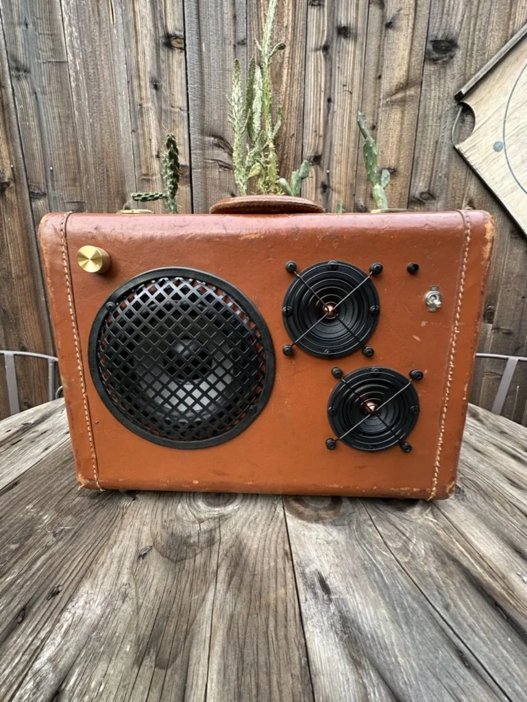 Vintage suitcase speaker with brown leather exterior, retro speaker grills, and a tuning knob, placed outdoors on a wooden surface. Cacti are growing from the top.