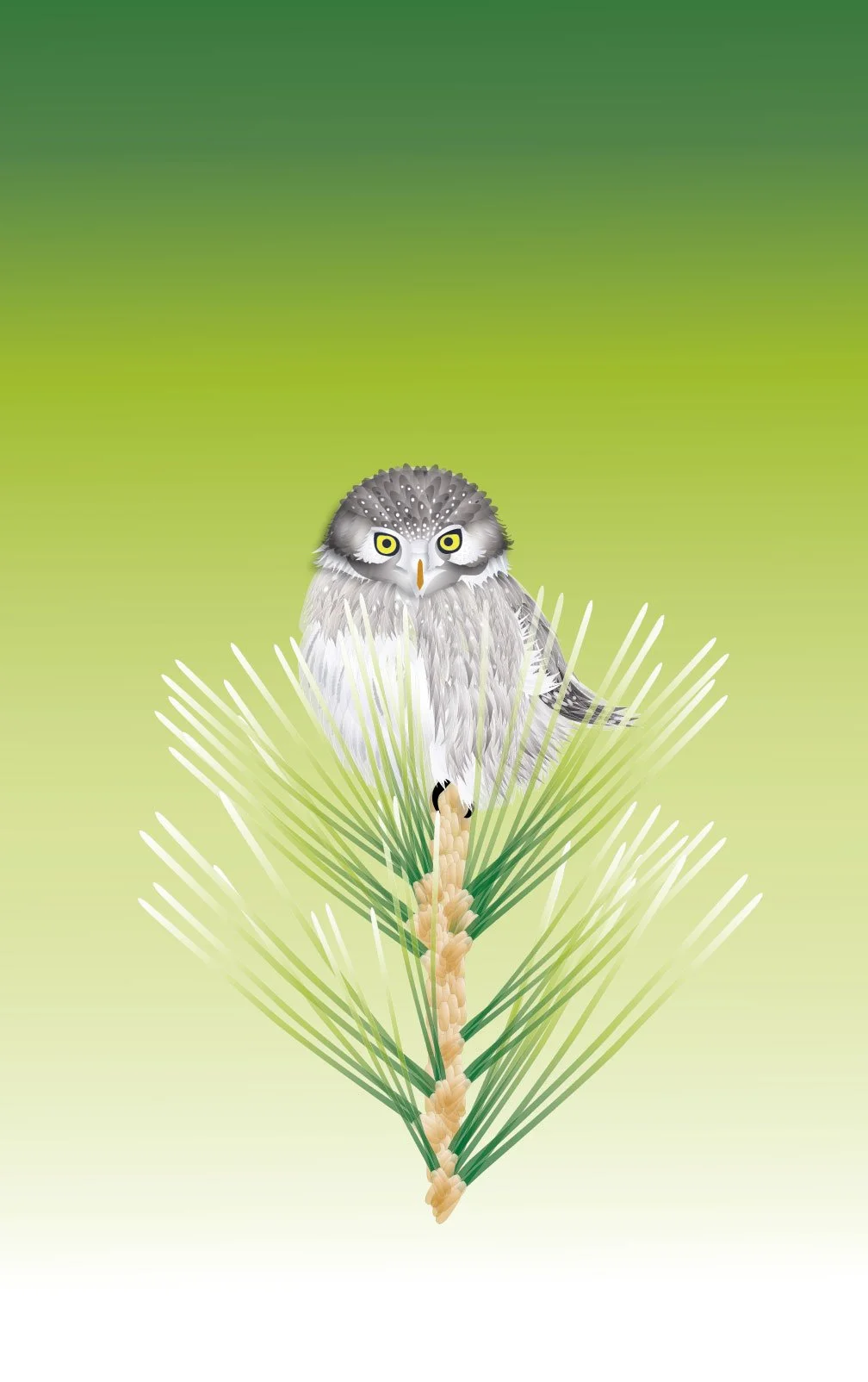 pygmy-owl-art.jpg