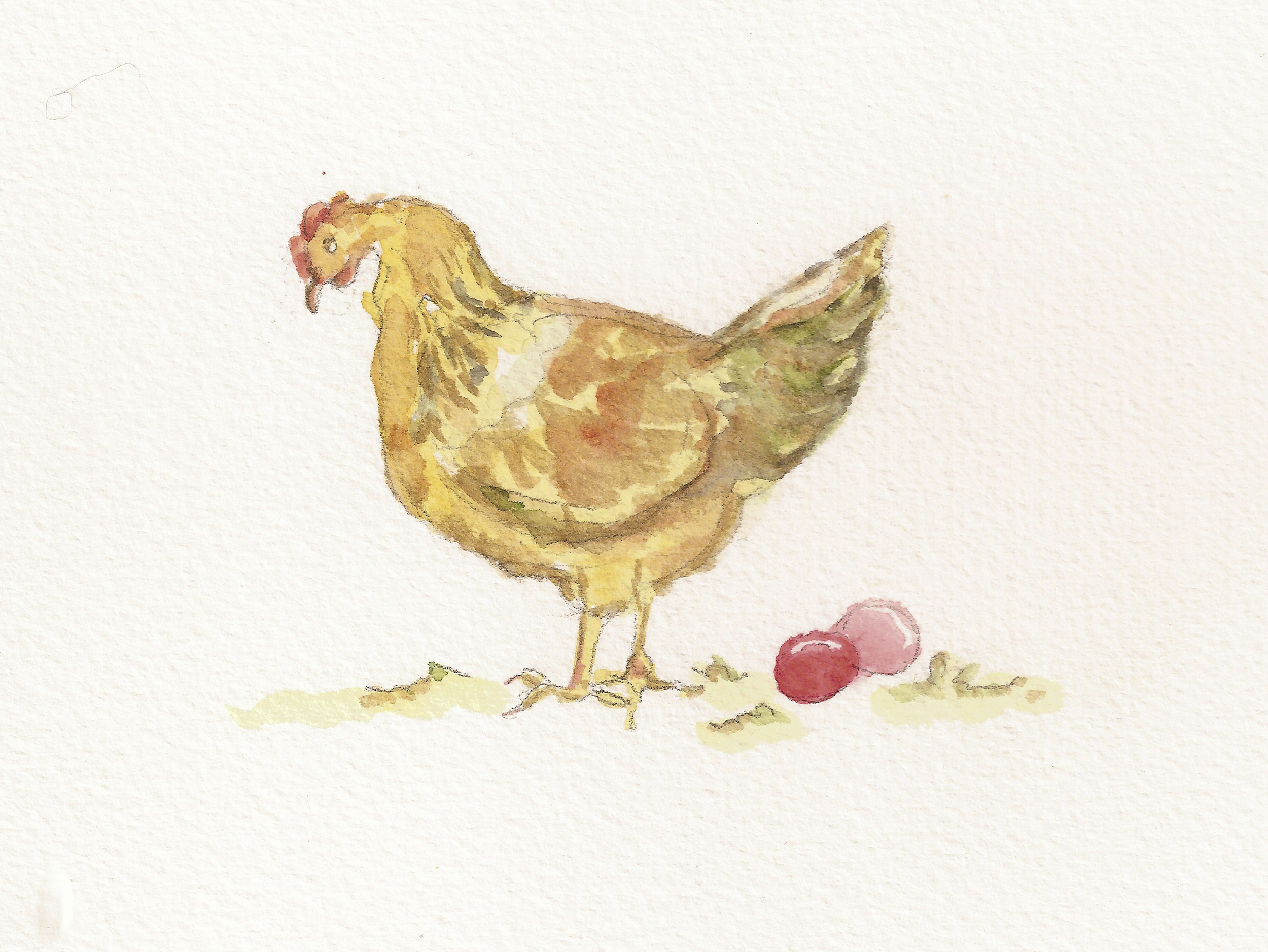 easter chicken.jpg