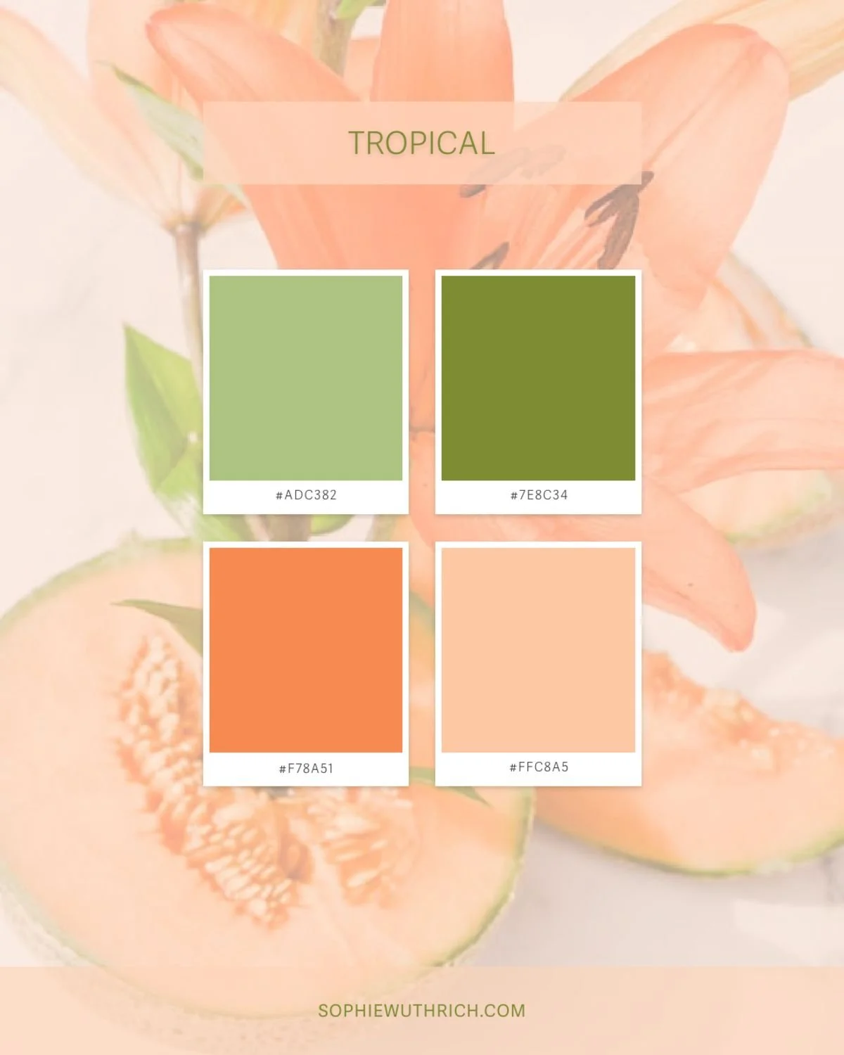 Fresh and vibrant colour palette with oranges and greens.