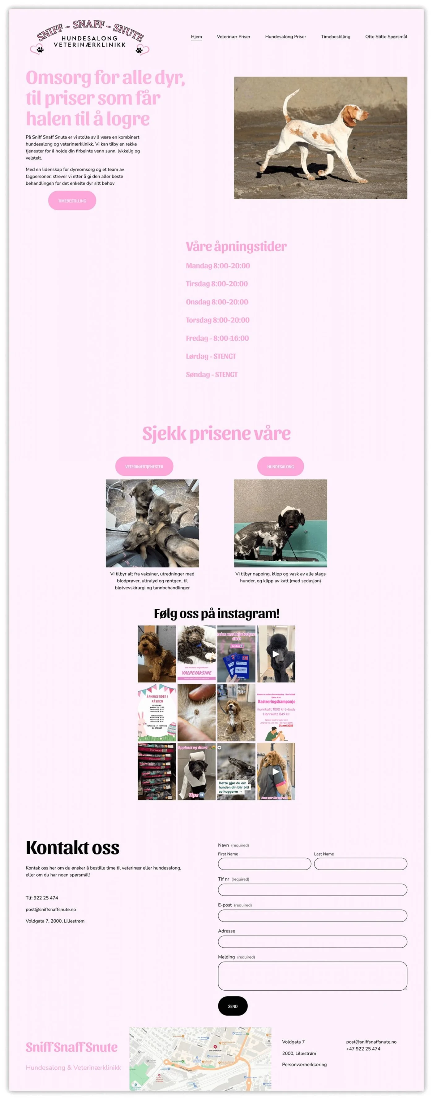 Previous (before) homepage design of dog salon.