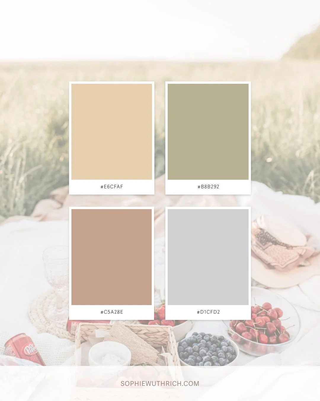 4 colour palette cards layered over picnic image.
