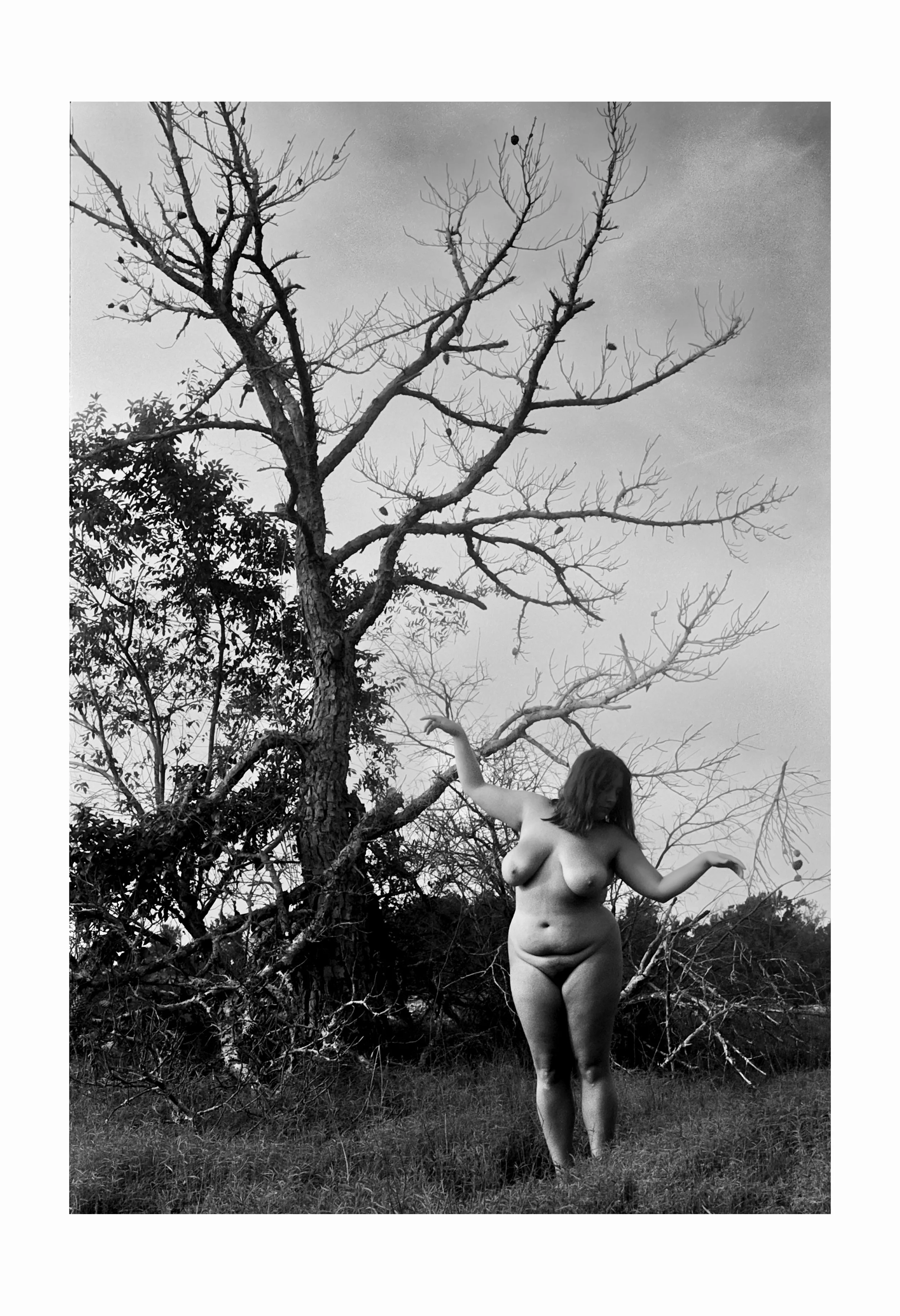 Heredity - Mimic copy.jpg