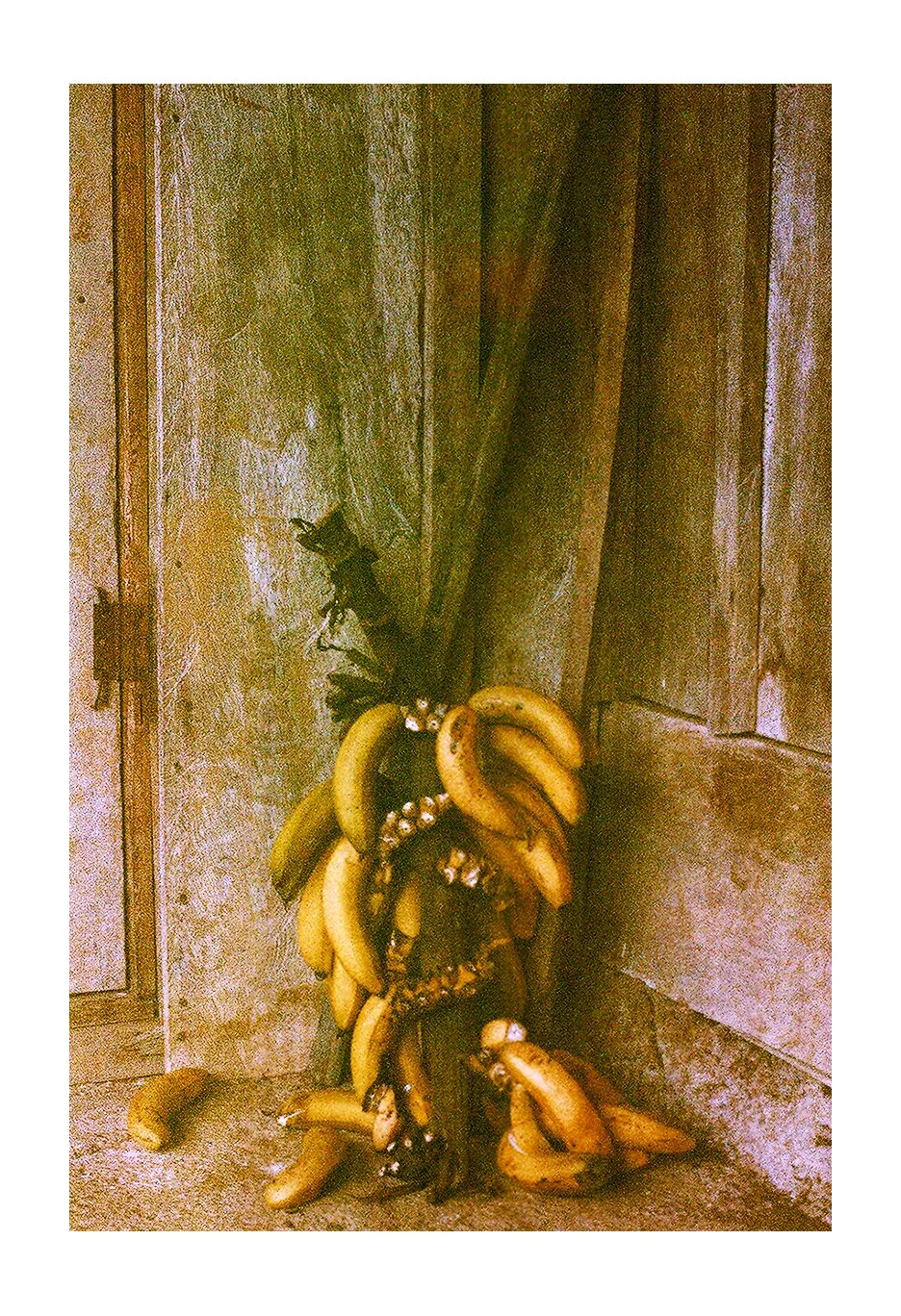 Bananas copy.jpg