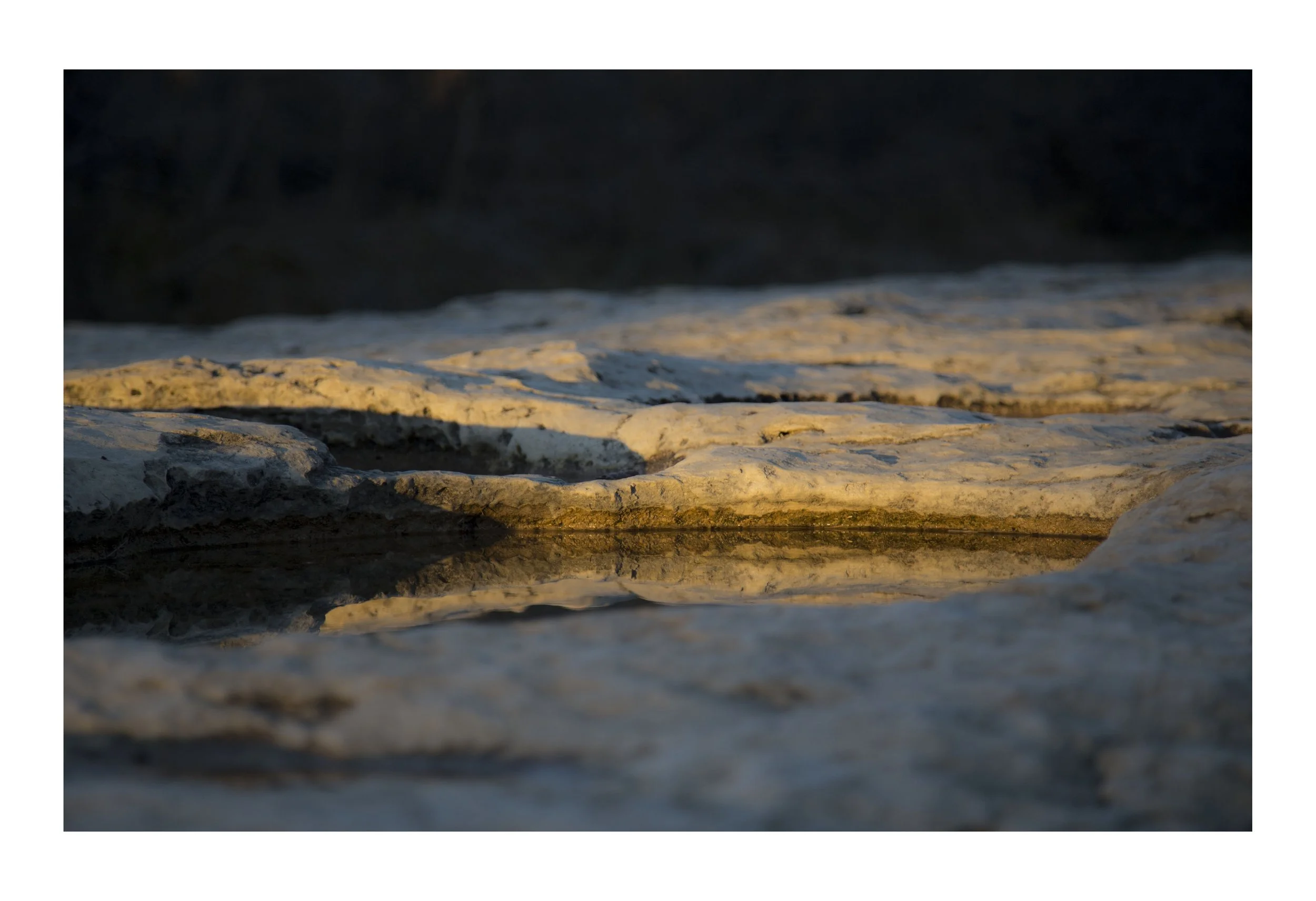 Puddle copy.jpg