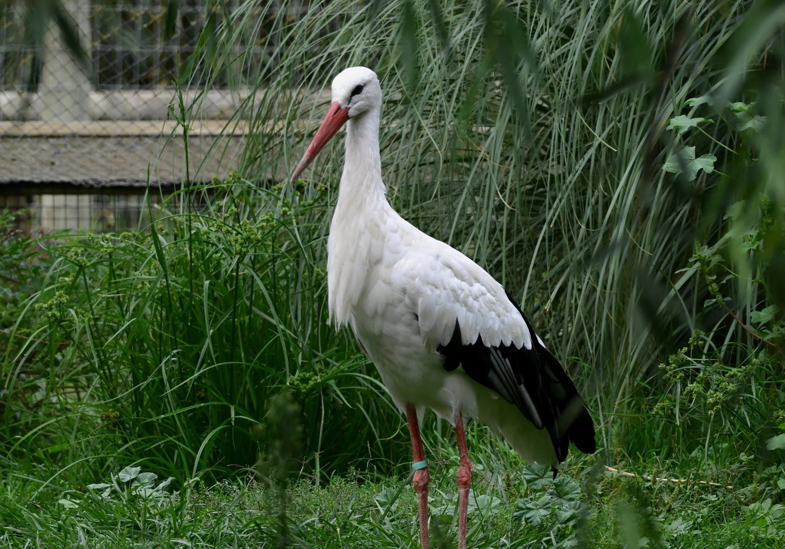 IMG_2834.JPG