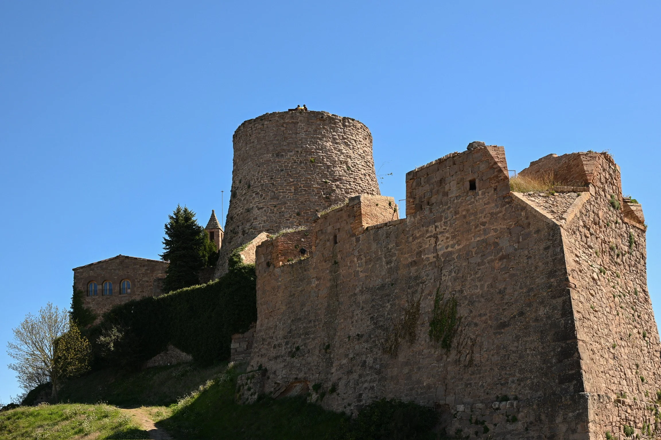 Castell de Cardona