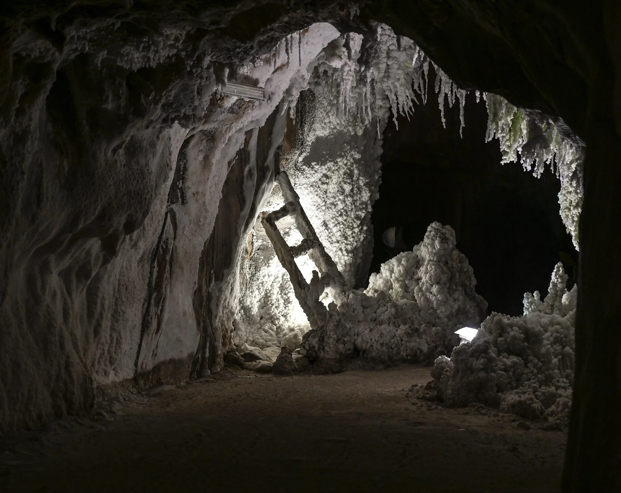 Wooden ladder mineralized in salt