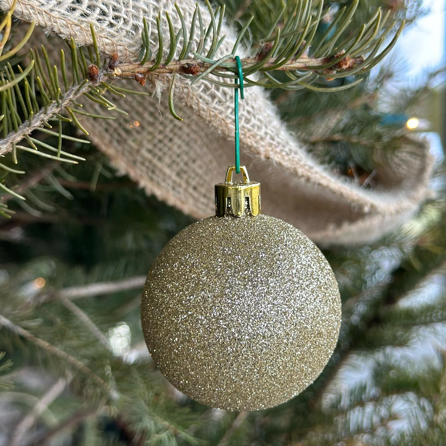 β οΈ PLEASE BE AWARE:β οΈ Due to wet weather conditions and safety concerns, we will be closing the fields today. There will be no pick your own tree option, or wagon rides. We will have plenty of off the rack options that our staff have freshly picked f