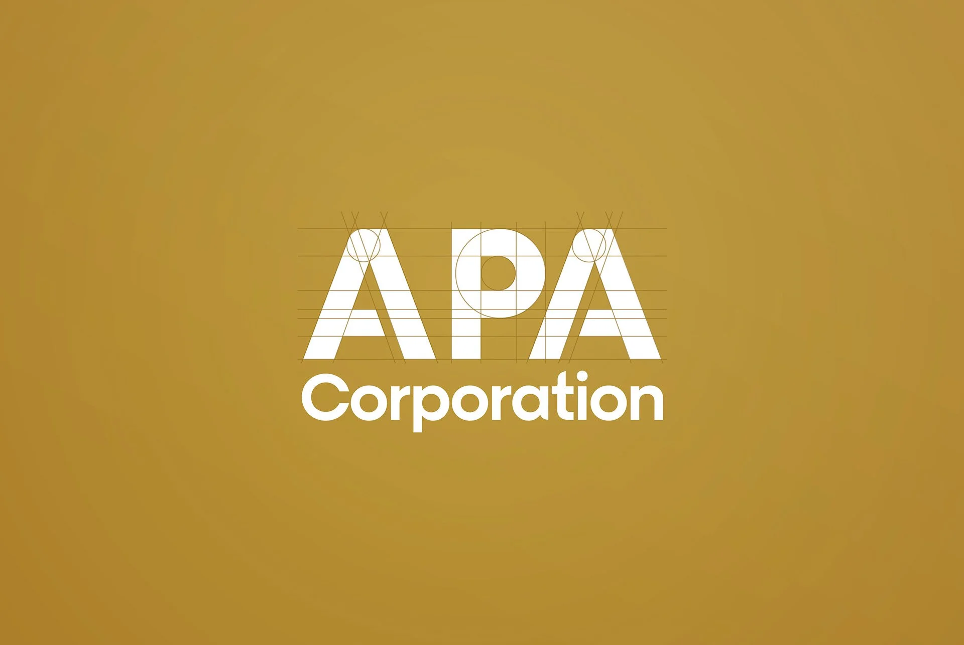 APA_BrandIdentity_1.jpg