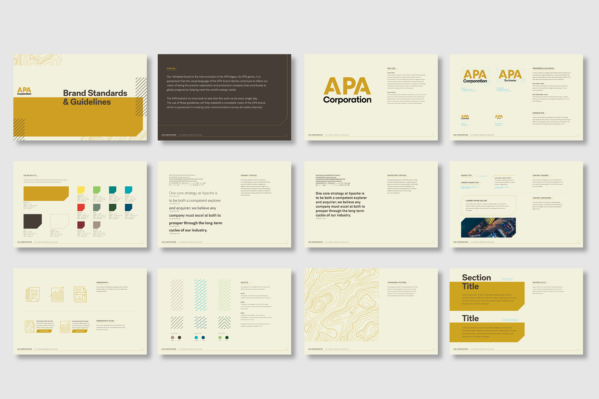 APA_BrandIdentity_2.png