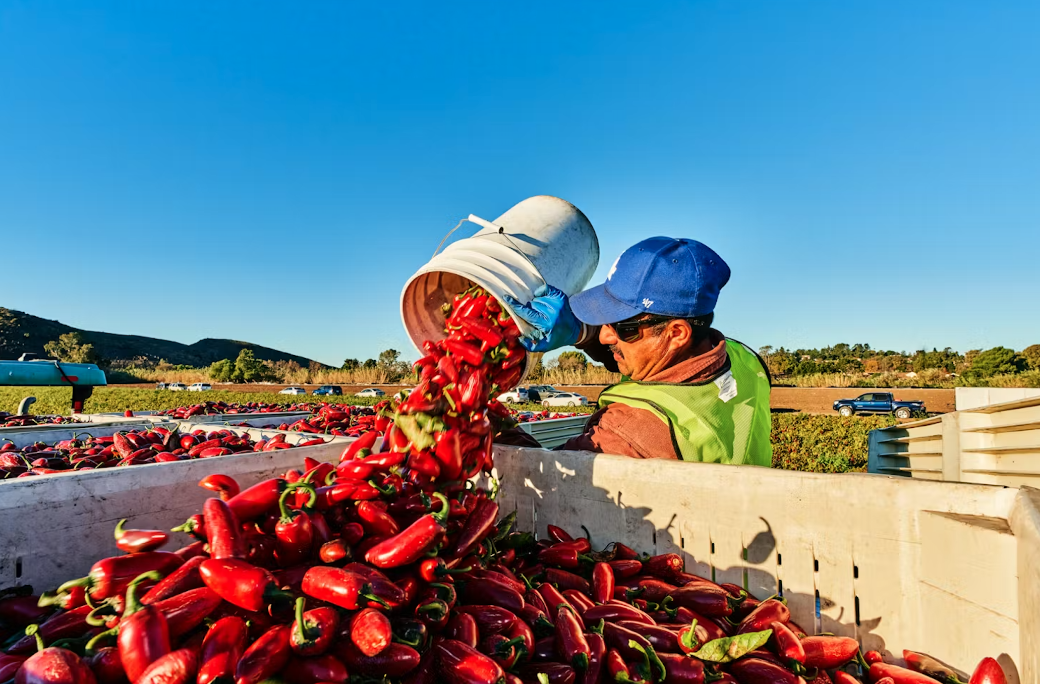 Screenshot 2026-04-27 at 1.54.36 PM.png