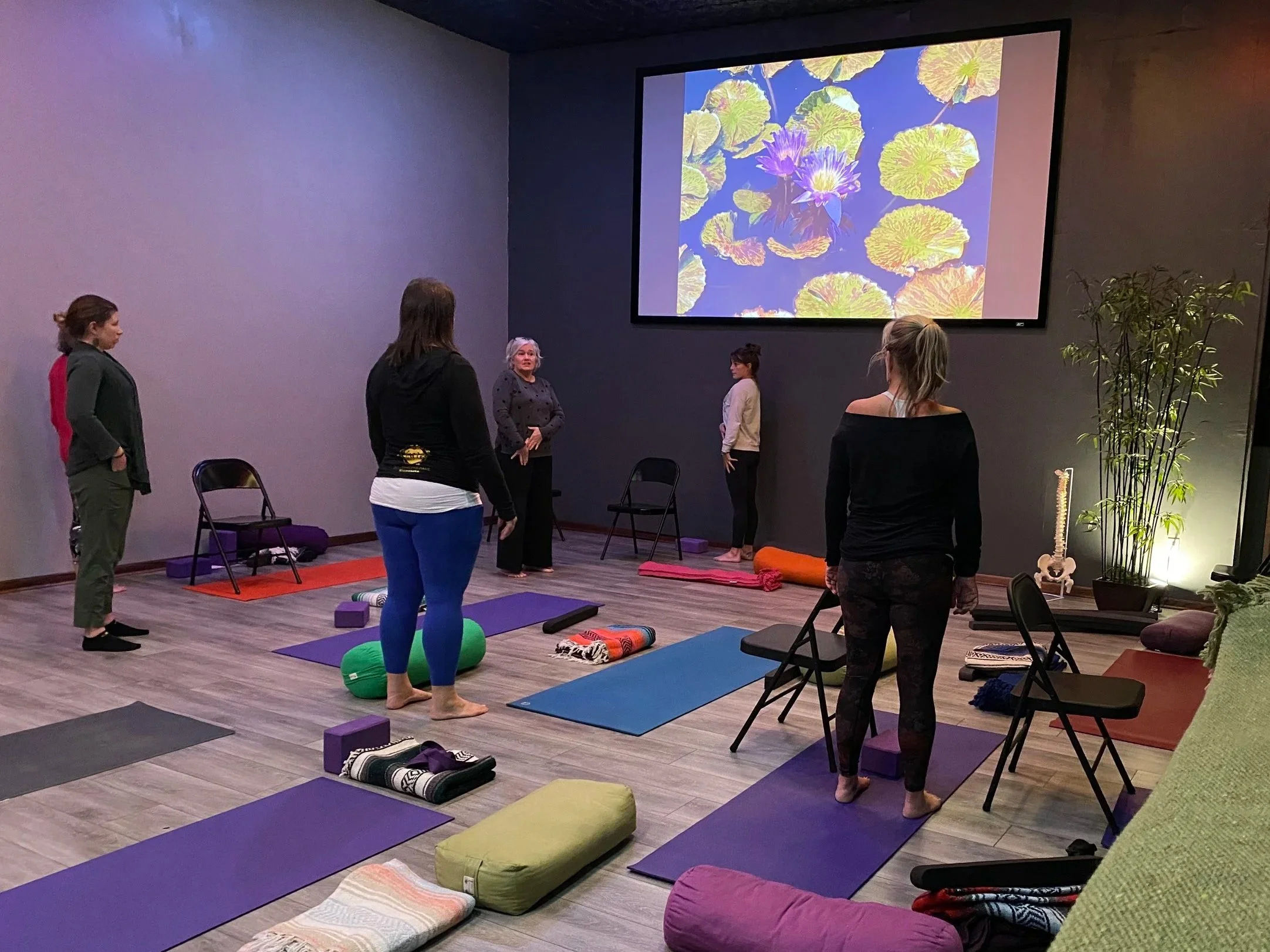 Beginning SomaYoga Series