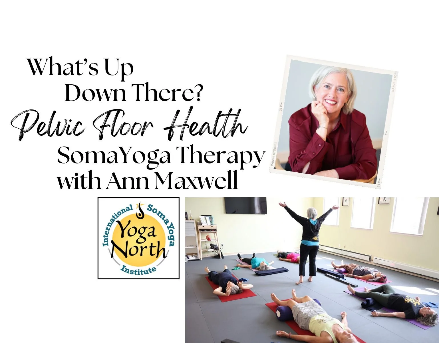 What’s Up Down There? Pelvic Floor Health w/ Ann Maxwell of Yoga North ISYI