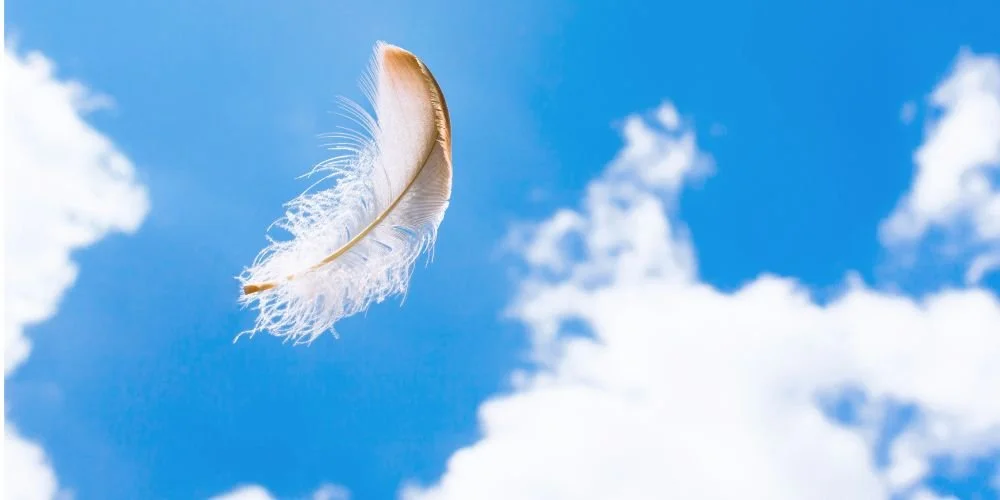 Feather Transformation Meditation