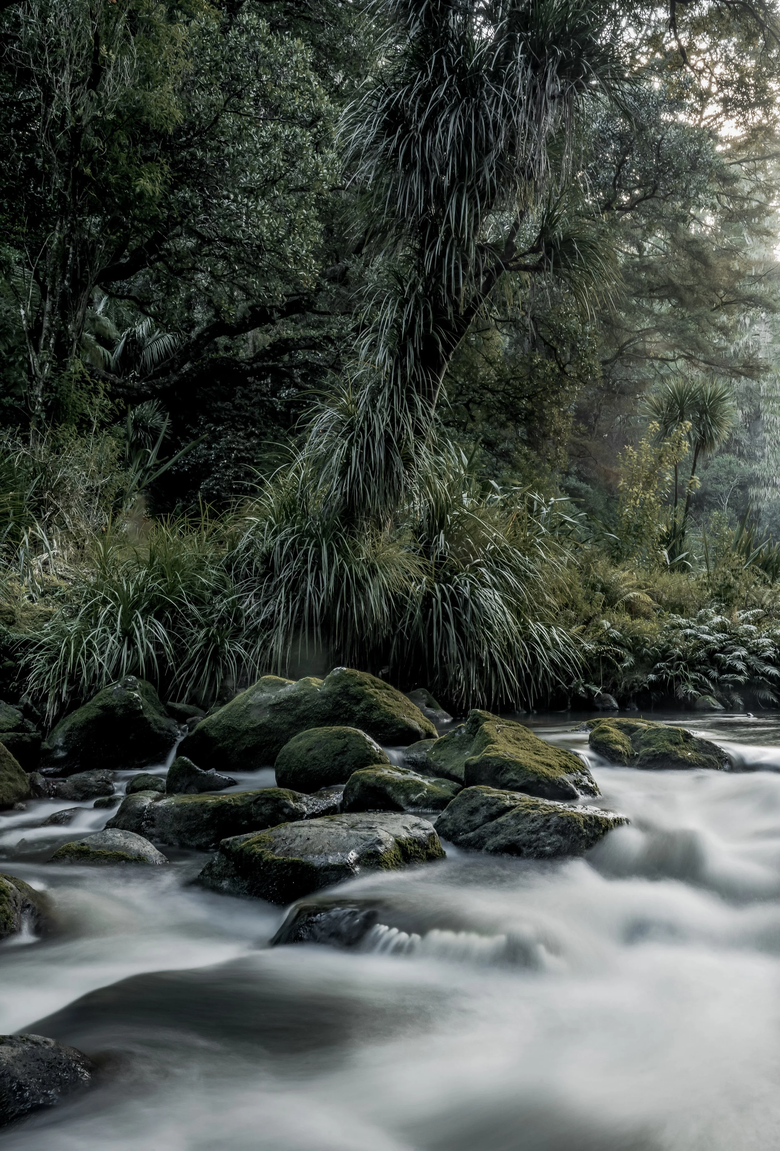 Bush Stream.jpg