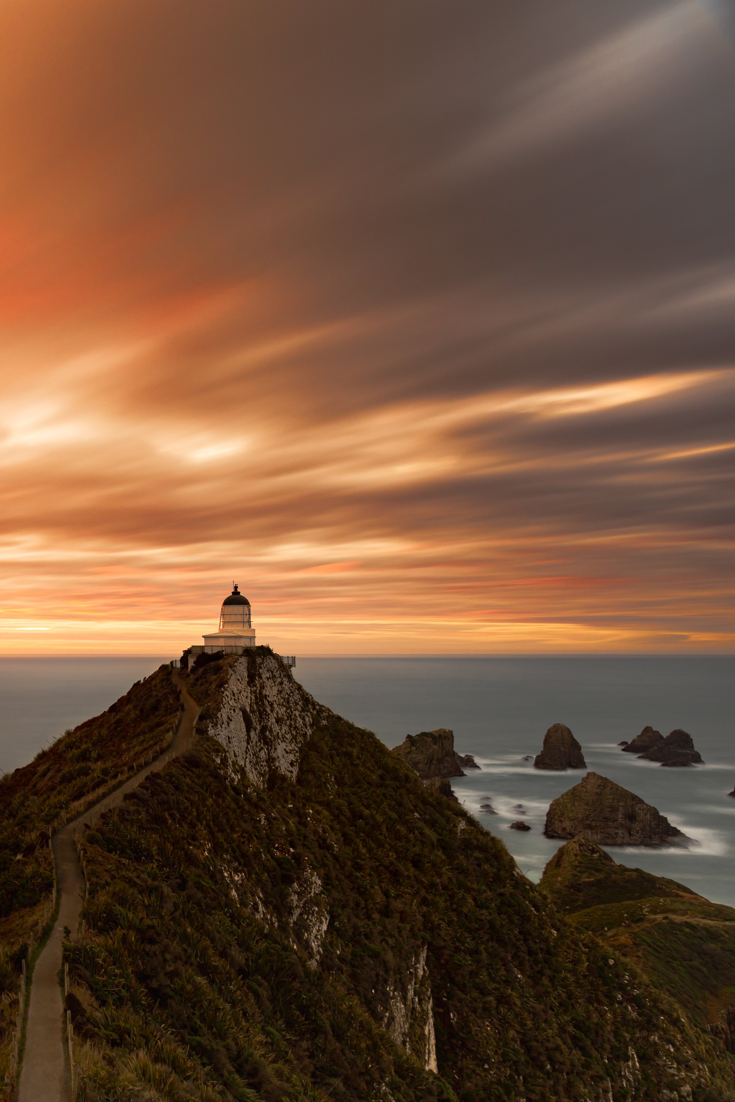 Teatowel - Nugget Point