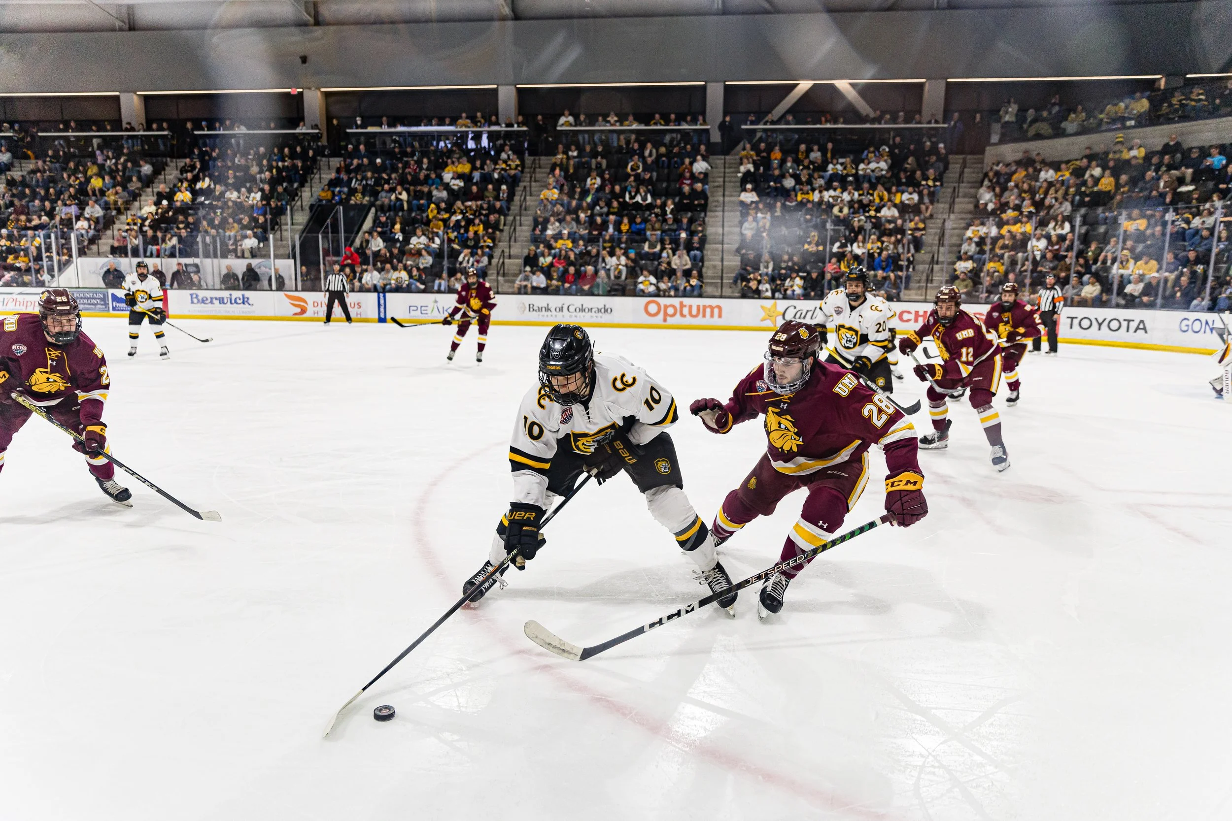 battmedia-cc-mhock-umd-n1-60.jpg