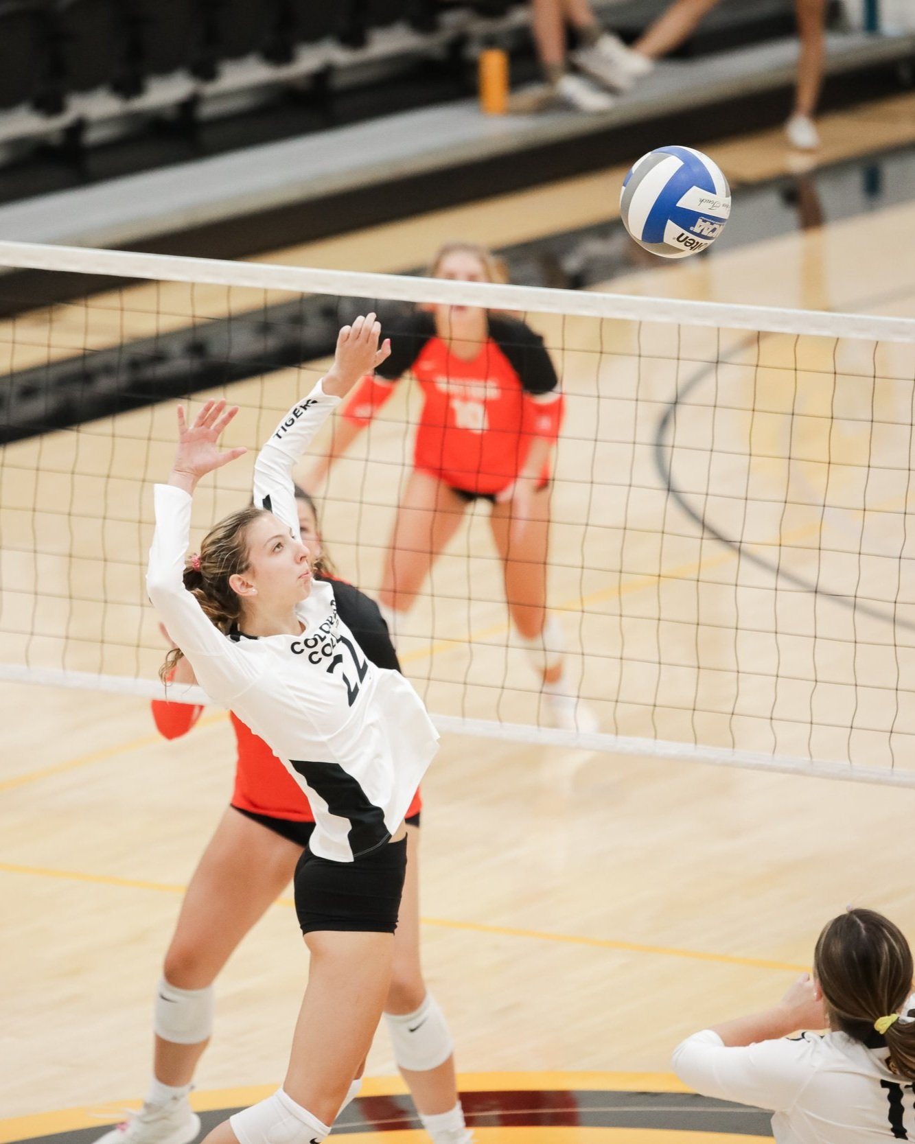 230902-coloradocollege-vb-wartburg-82.jpg