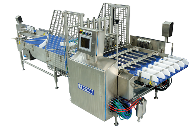 Custom Automation Solutions in Food & Beverage | Forpak Automation