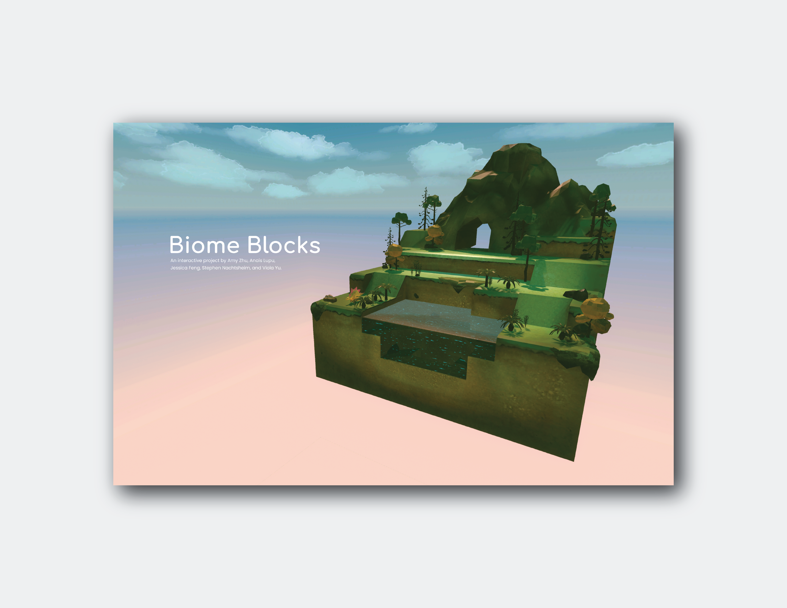 Biome Blocks