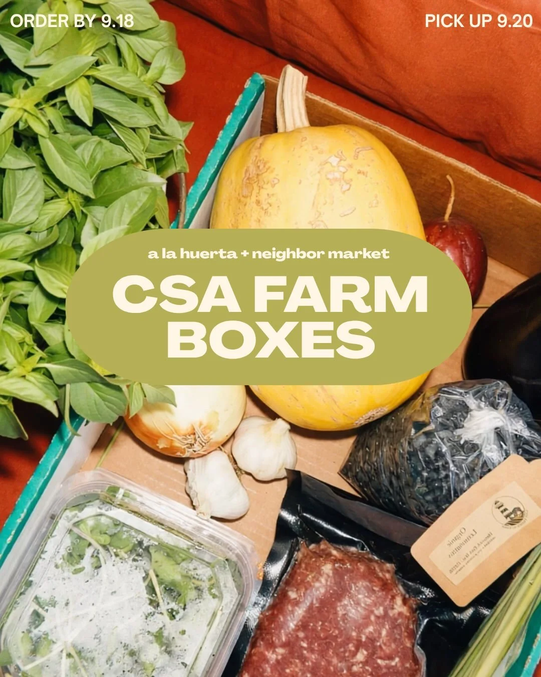 september CSA is here! you guys showed out last month and it was really special. you&rsquo;re directly supporting local farmers during the slowest season. there are two options again this month: veg box with 6-8 seasonal produce items or ground beef 