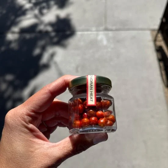 Desert Dust: Chiltepin Pepper Jar