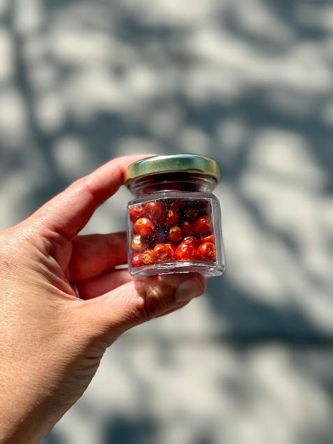 Desert Dust: Chiltepin Pepper Jar
