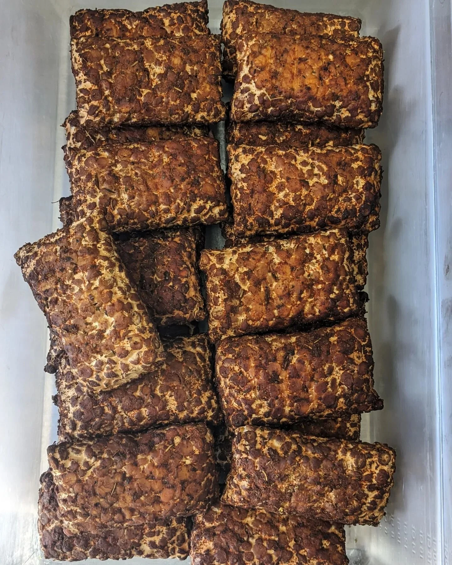 Denver! One more farmers market for the 2023 season! Last week you sold us out of smoked tempeh by 10am and out of everything else by 1130! Thank you!!

We will be bringing LOTS of Tempeh this weekend so you can stock up those freezers until we meet 