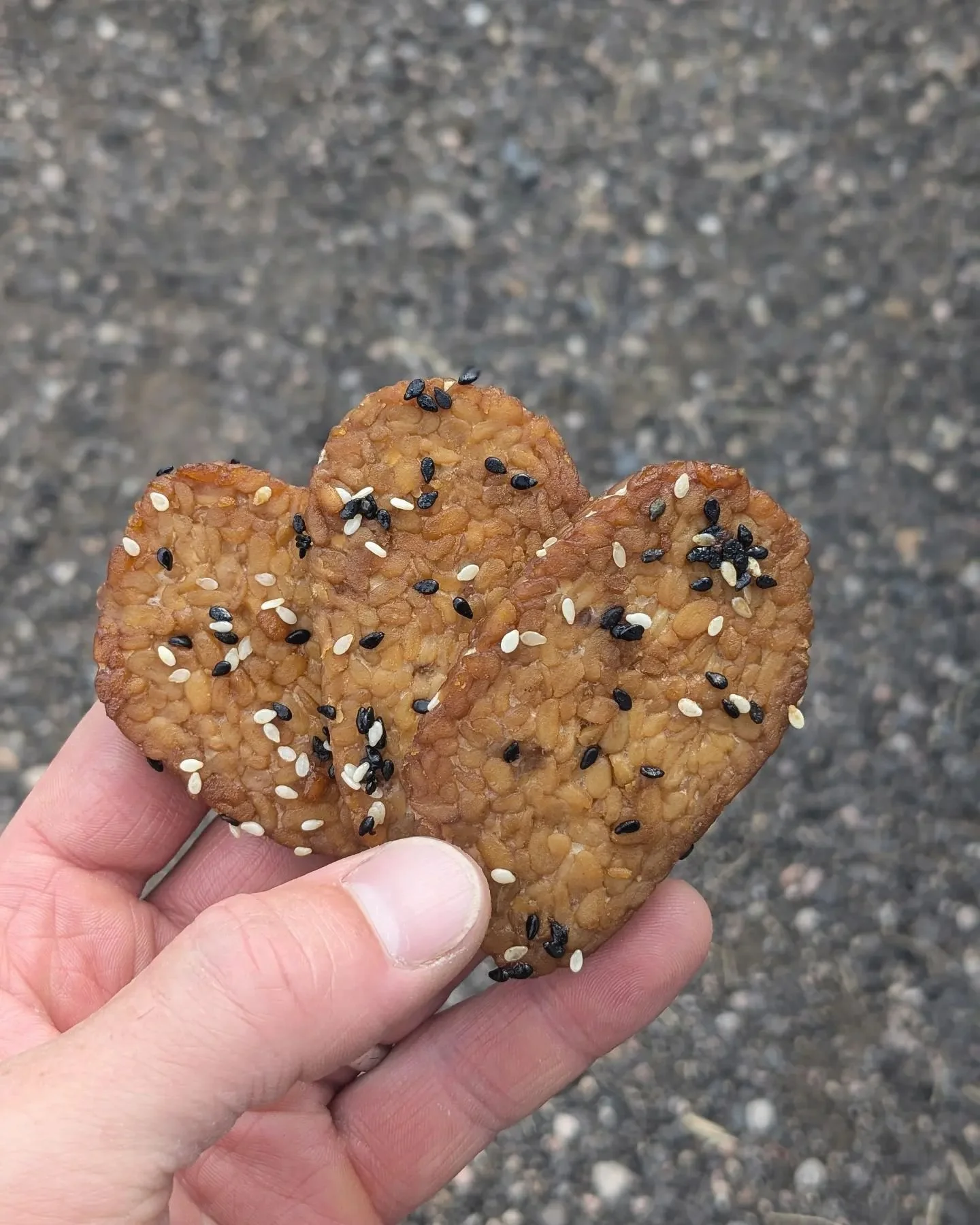 New market special! Baked sesame ginger mung dal tempeh! Made using our most tender, silky tempeh. These are great cold, or warmed up. 

We'll be running these as a special this weekend at all of our regular markets. First come first serve! ✌️❤️