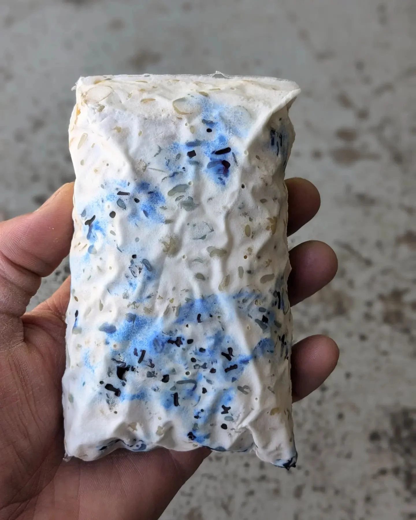 Tie-dyed tempeh is back this weekend! This is our chickpea/sunflower seed tempeh with fresh spirulina courtesy of @rockymountainsuperfoods. This amazing product is grown right down the road in Longmont.

This tempeh is so fun. The beautiful bright bl