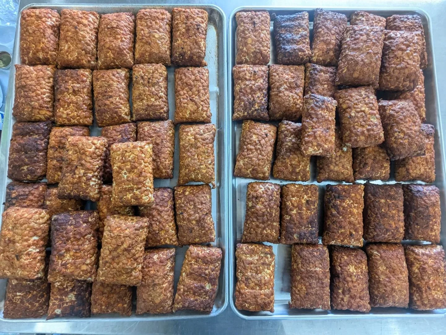 Fresh out of the smoker. First it's soaked in a shiitake dashi overnight. Then dry-rubbed with a spice blend. Then smoked over applewood for a few hours. 💨🍎🌳

We know lots of you have enjoyed our applewood smoked tempeh this season, so for that we