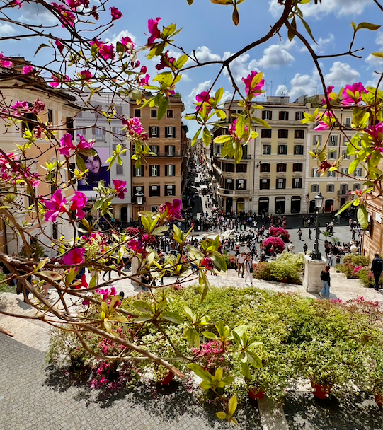 Screen Shot 2026-02-17 at 11.21.32 AM.png