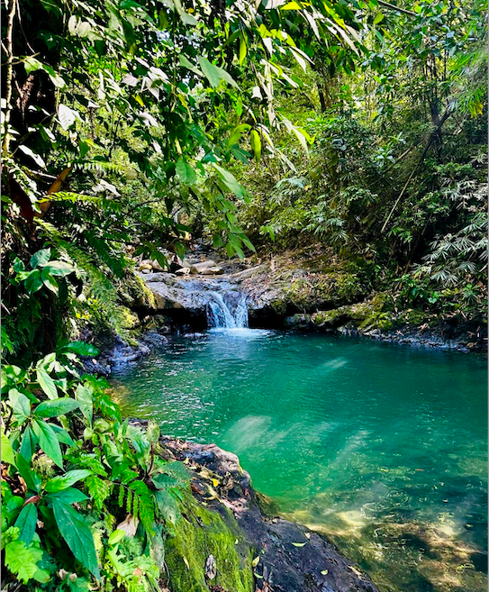 Screen Shot 2026-02-16 at 6.52.52 PM.png