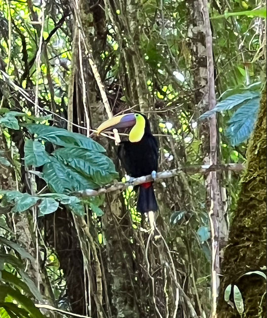 Screen Shot 2026-02-16 at 6.44.30 PM.png