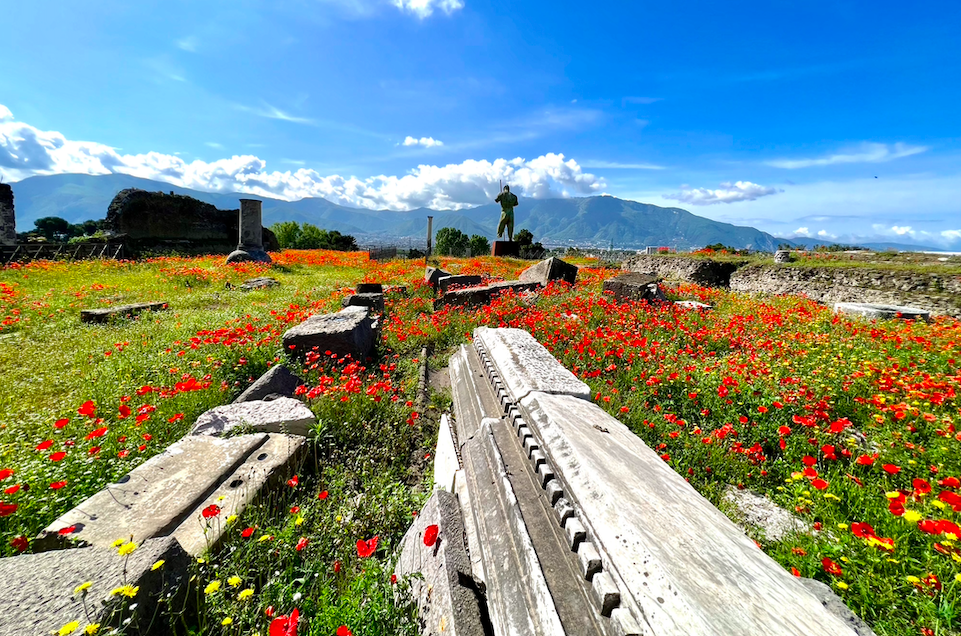 Screen Shot 2026-02-17 at 12.12.43 PM.png