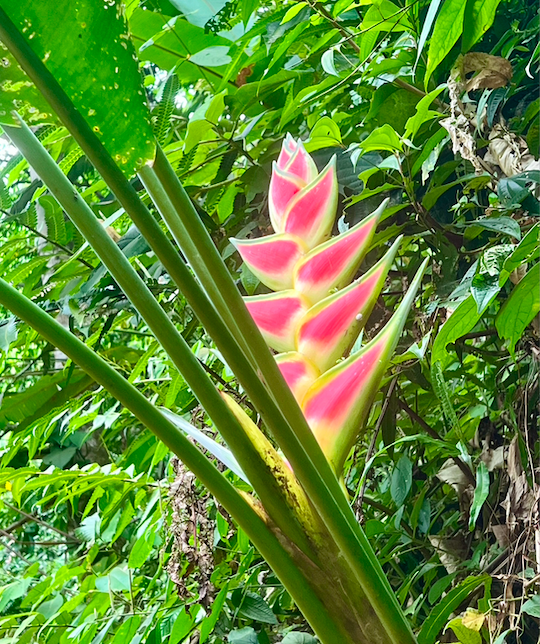 Screen Shot 2026-02-16 at 6.56.14 PM.png