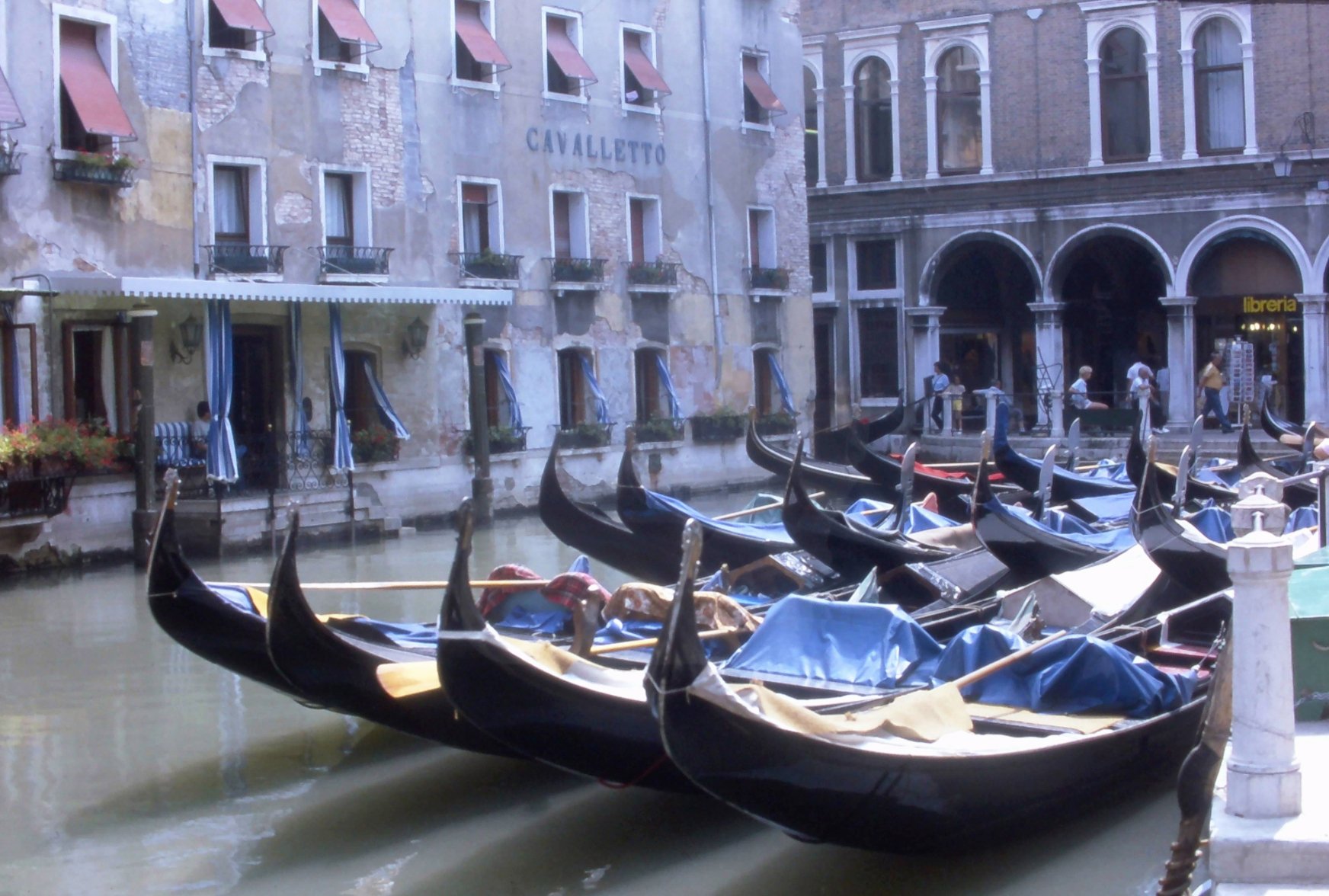 JACITYVENICECANAL83WM001(Watermarked).jpeg