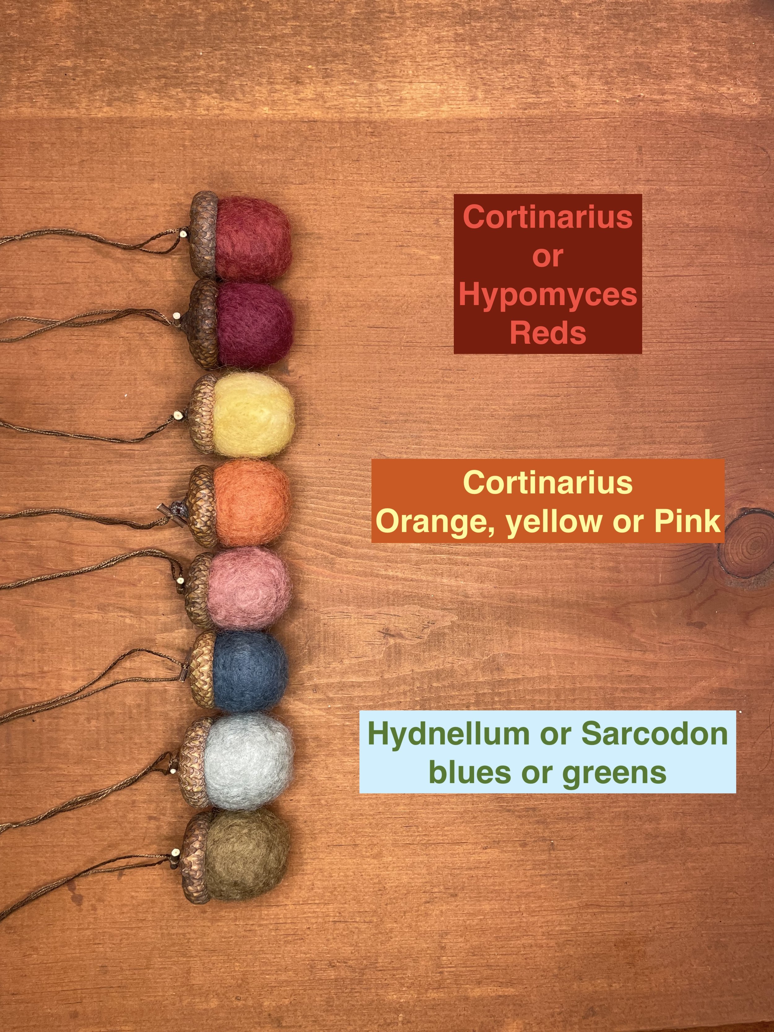 Acorn labels.jpg