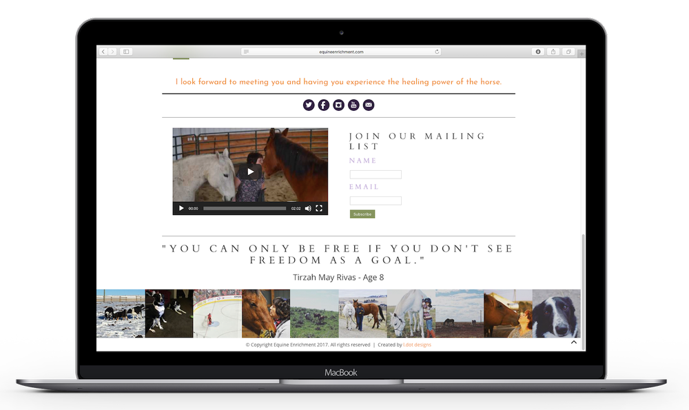 Launched_Equine-Enrichment-Footer-Mockup.png