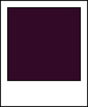 Rootology Brand Colour : Eggplant - HEX #320a28