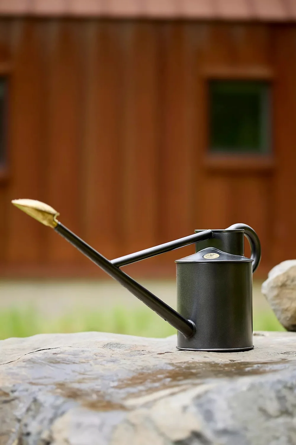 Long Reach Watering Can