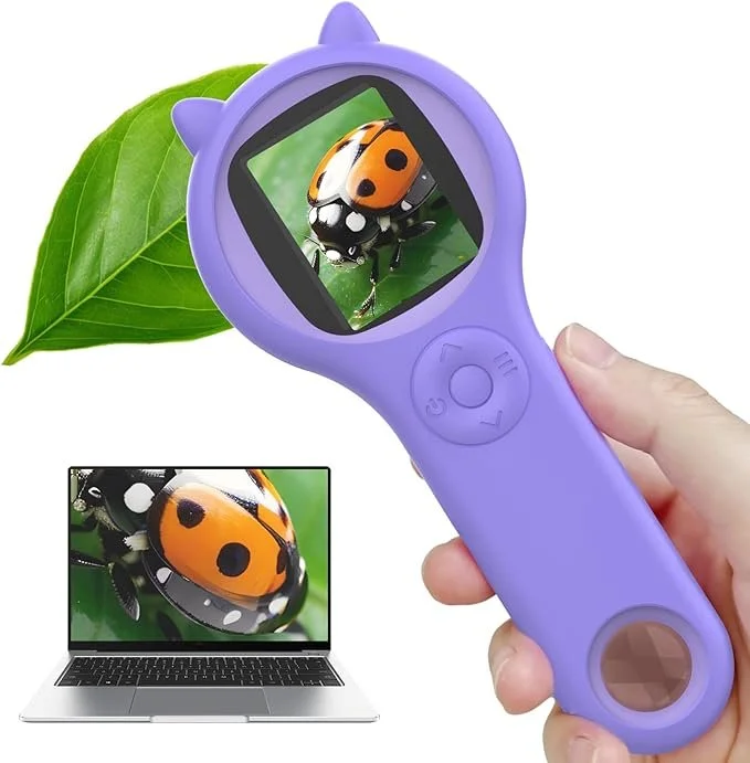 Magnifying Glass
