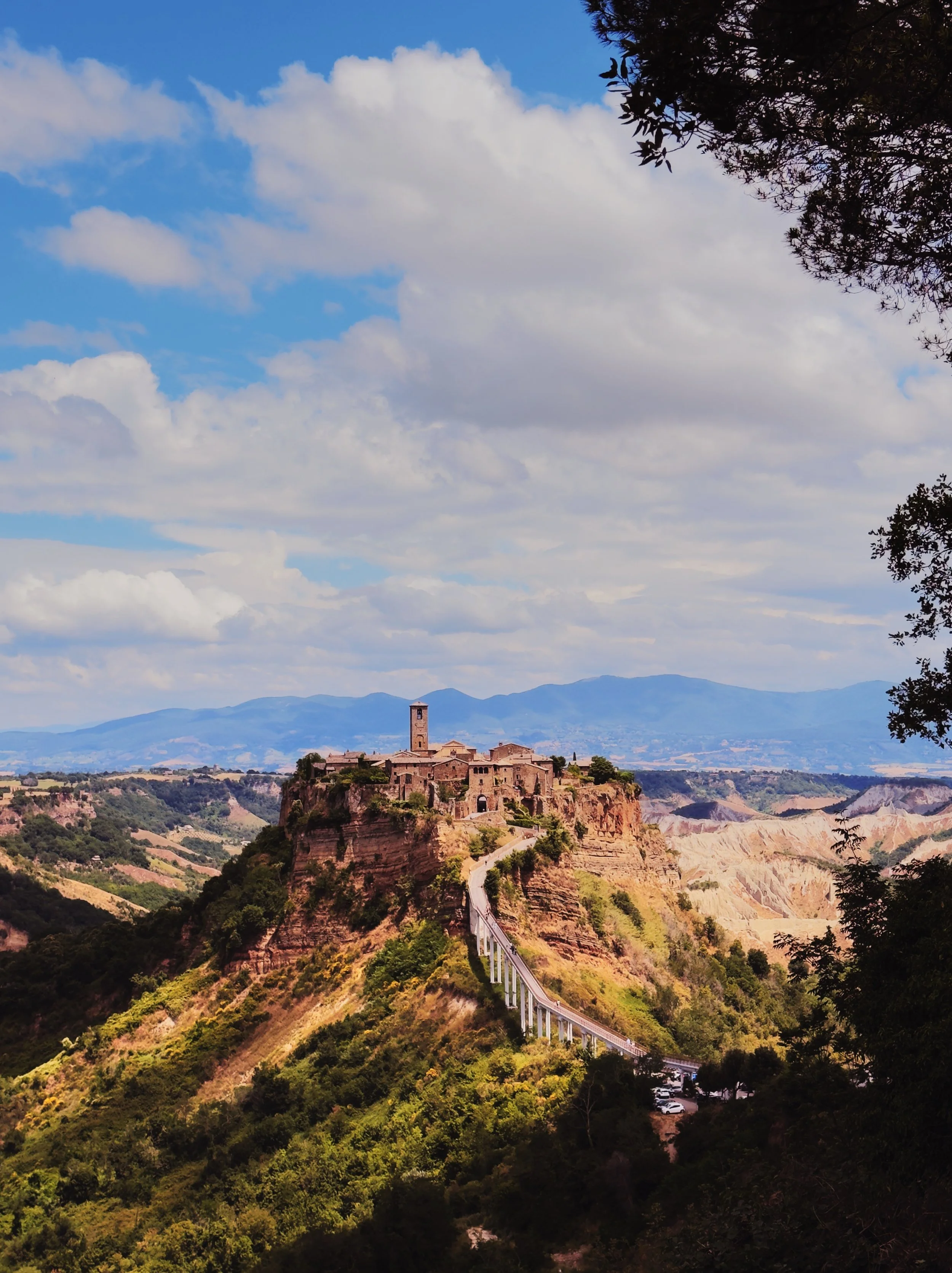 F7A2B984-81A7-4CE7-8E7F-B3C0E327CA22 2.JPG