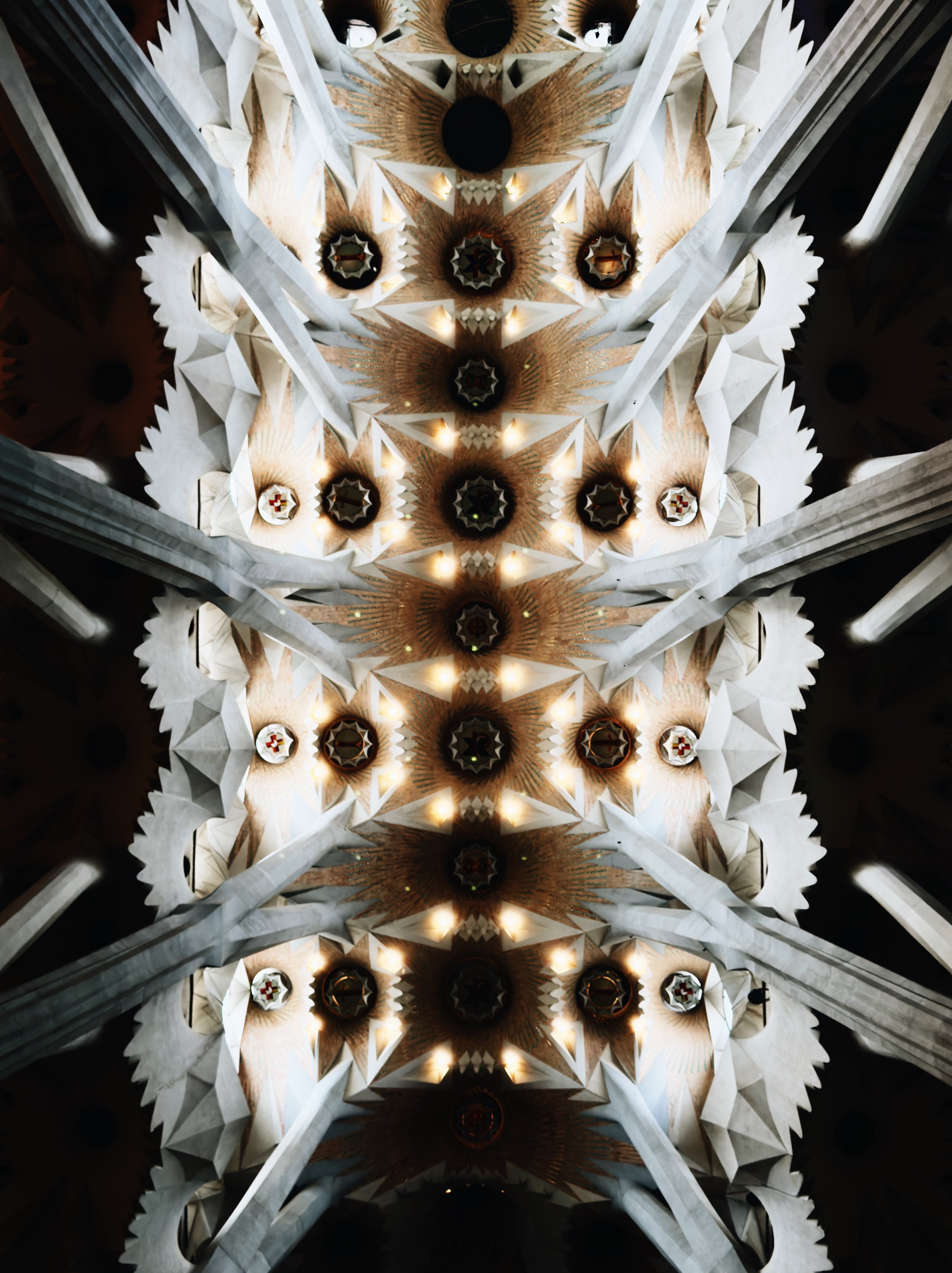 01920987-1FE9-476F-864B-C64ECF72F4C1 2.JPG