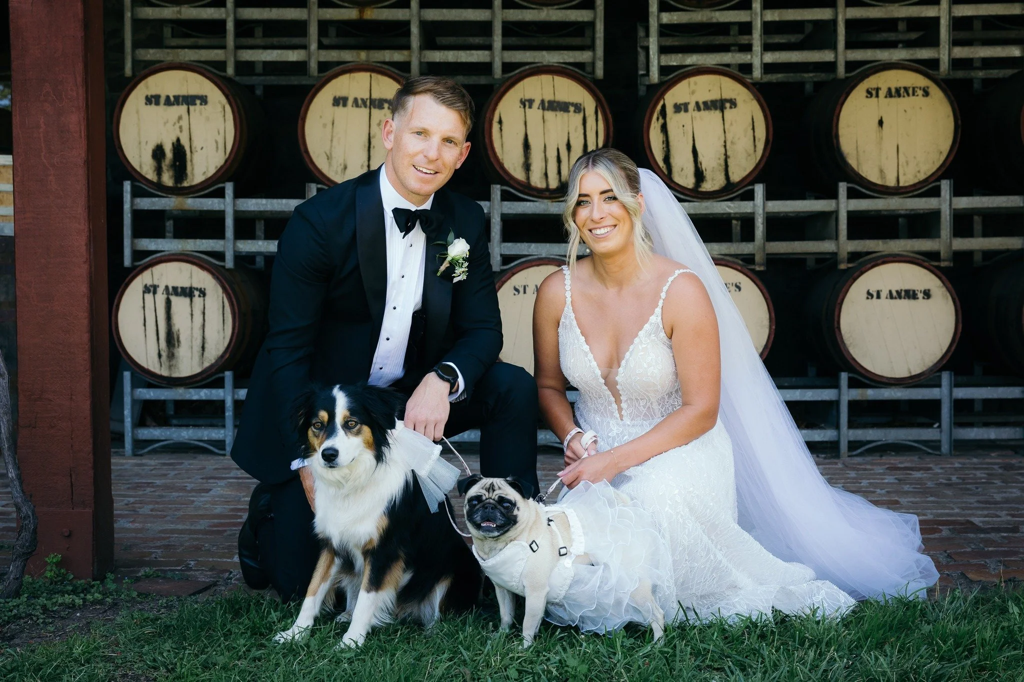 M&J with their furkids Charlie and Winnie.
Photo credit: Turner Studio Weddings & Portraits