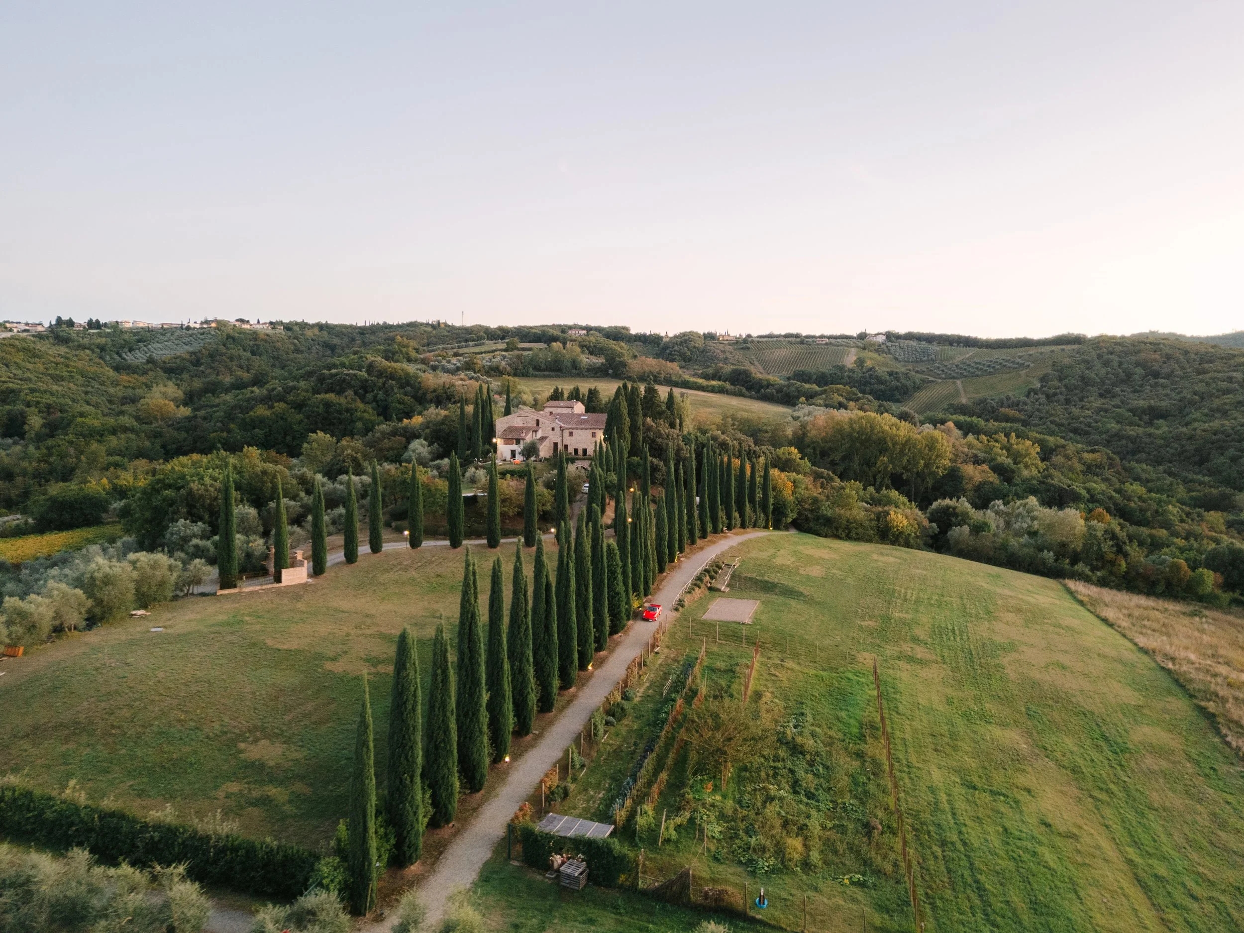 Cypress tree Tuscany landscape Wedding
