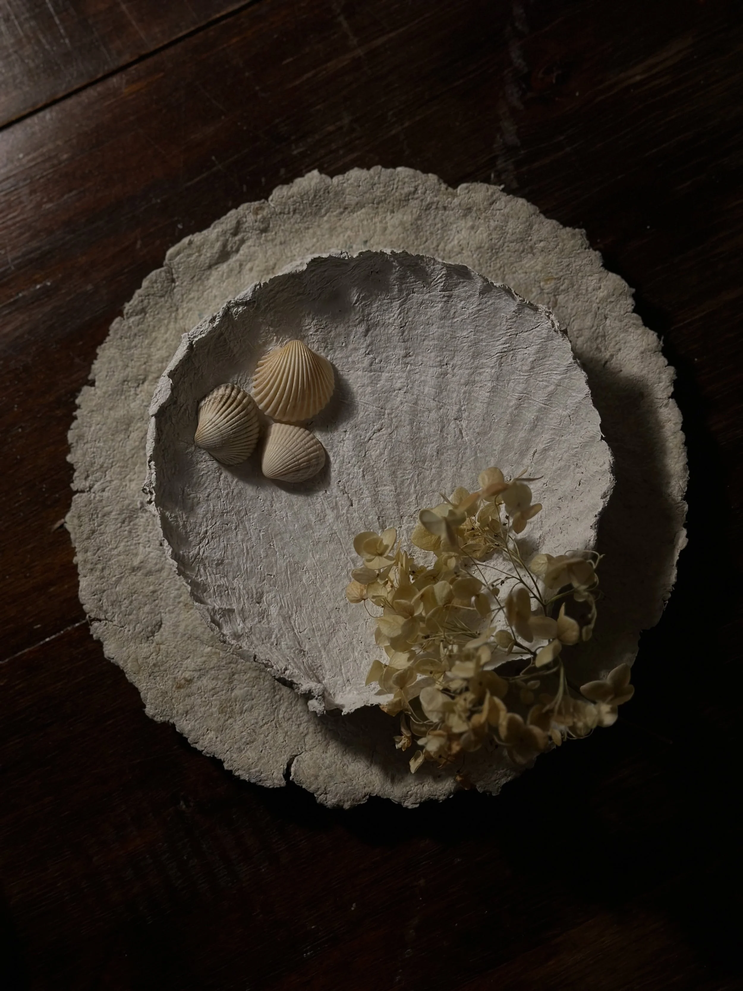 Papier-m&acirc;ch&eacute; / paper mache 09/26

#paperm&acirc;ch&eacute; #papermache #shellart