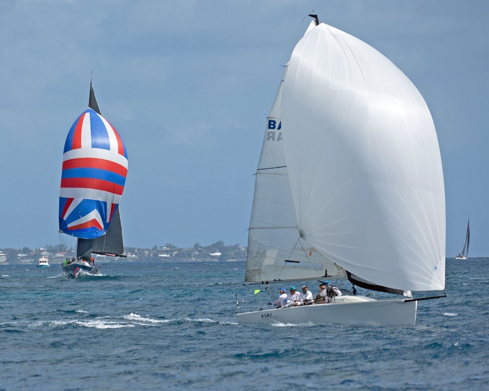island yacht race