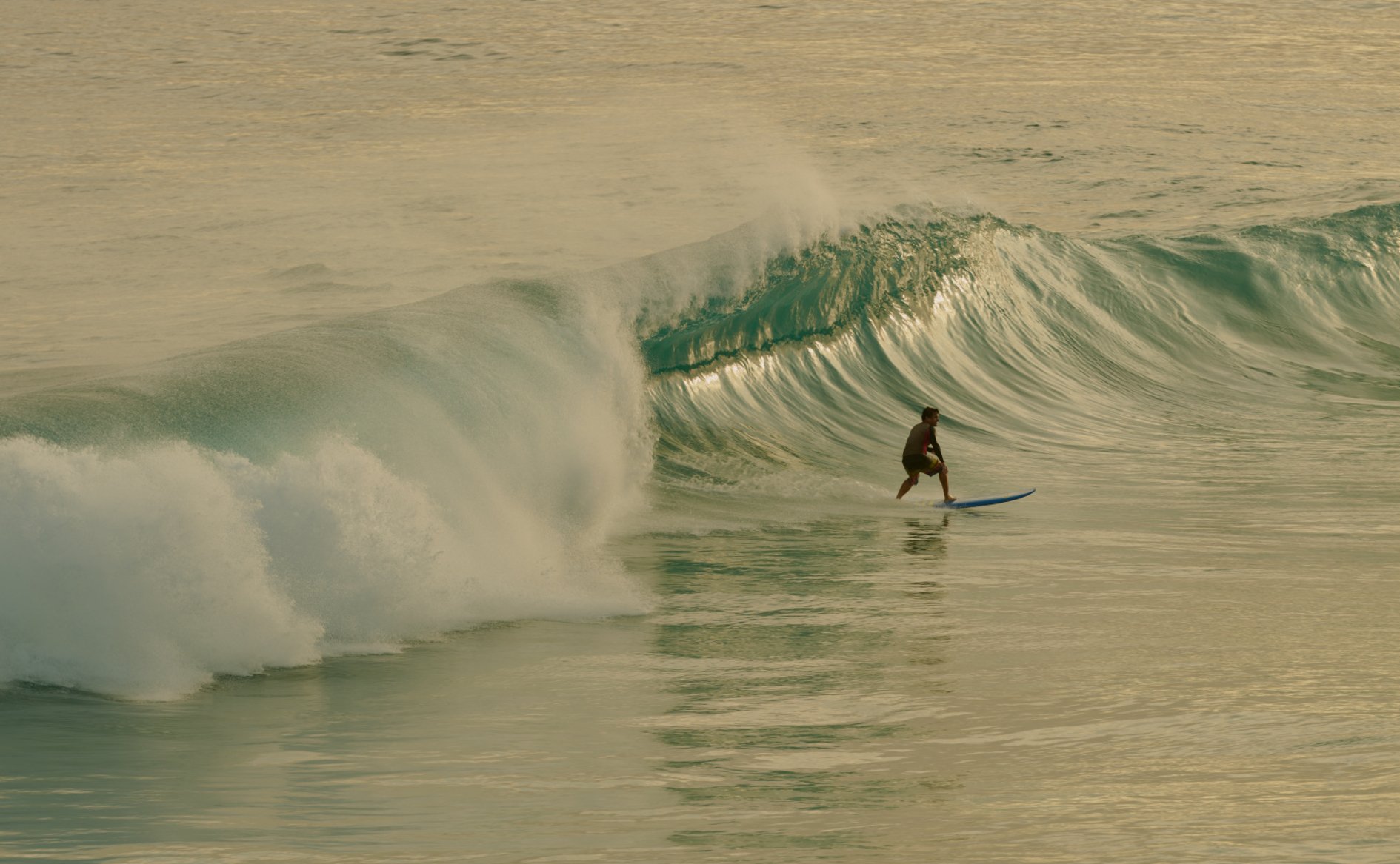A person surfing on a blue surfboard on a wave in the ocean during sunset or early morning.